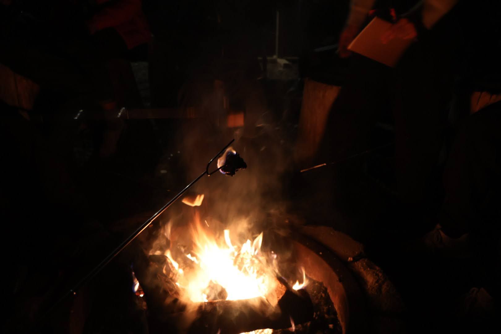 People making smores around campfire